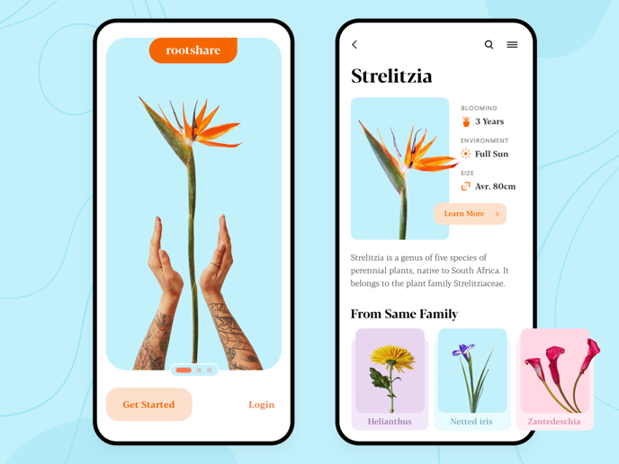 21 Dazzling Examples of Mobile App UI Design to Inspire You in 2022 - mobile plant app