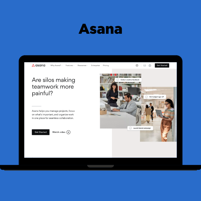 asana - zarządzanie projektami