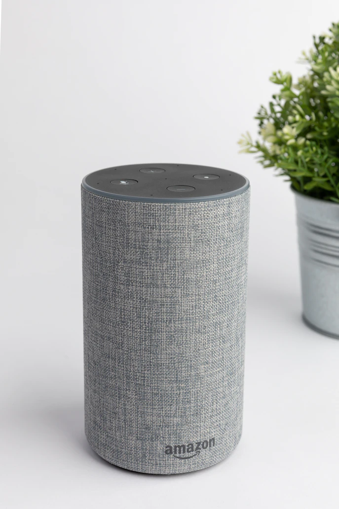 From Product Vision to Market Success- The Role of Technical Product Manager - amazon echo