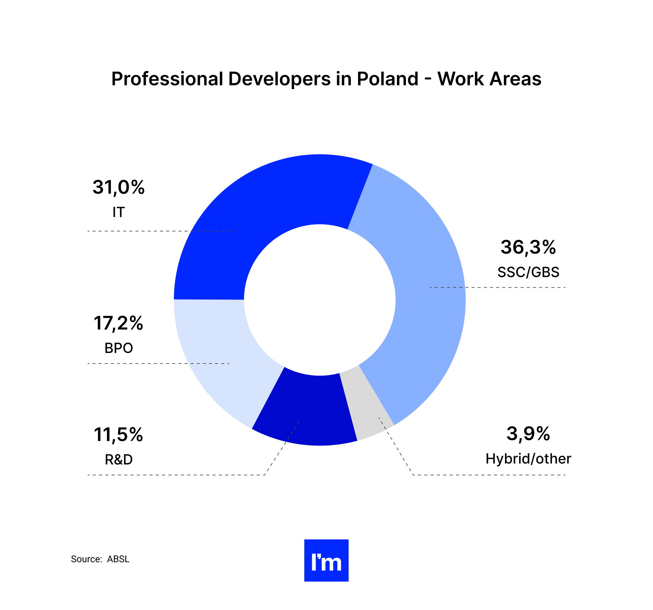 Hiring Software Developers From Poland - What Do You Need To Know_ - professional developers in poland