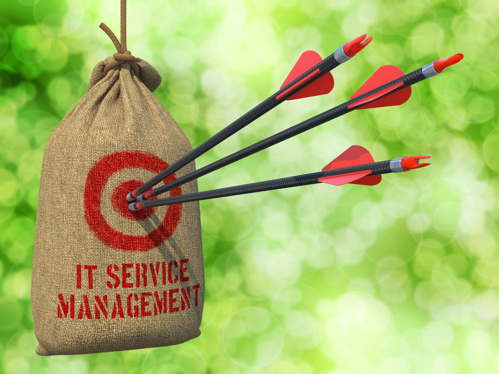 IT Service Management- Three Arrows Hit in Red Target on a Hanging Sack on Natural Bokeh Background