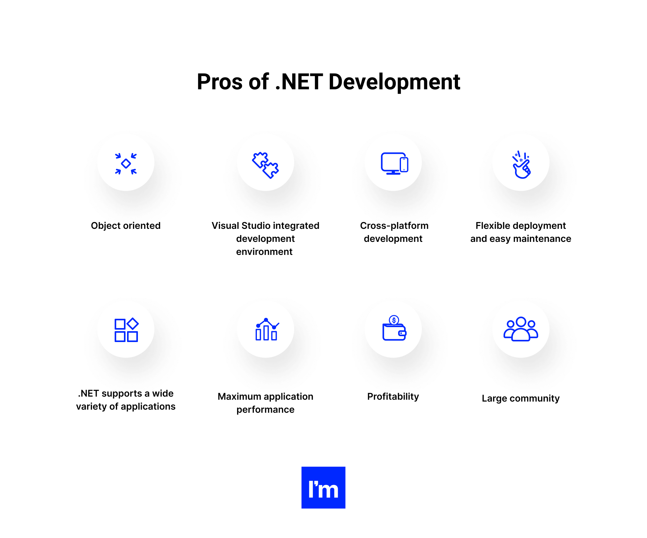 The Business Side of .NET Development - infographic 4 - Pros